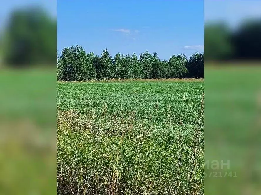 Участок в Коми, Сыктывдинский муниципальный район, Пажга муниципальное ... - Фото 1
