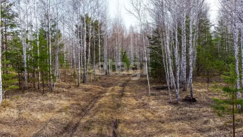Участок в Нижнетавдинский район, село Черепаново (17.6 м) - Фото 1