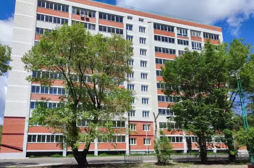 1-к кв. Амурская область, Благовещенск Октябрьская ул., 233 (35.5 м) - Фото 0