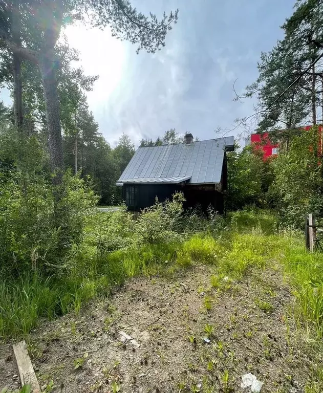 Участок в Санкт-Петербург, Санкт-Петербург, Зеленогорск ул. ... - Фото 1