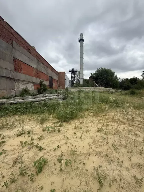 Участок в Саратовская область, Саратов Елшанка мкр,  (24.0 сот.) - Фото 1