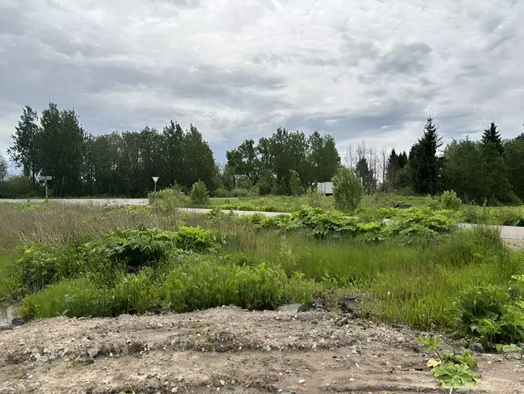 Участок в Ленинградская область, Гатчинский район, д. Монделево ул. ... - Фото 0