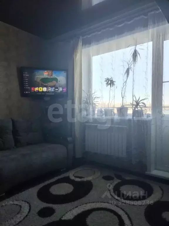 1-к кв. Алтай, Майминский район, с. Майма ул. Гидростроителей (31.5 м) - Фото 2