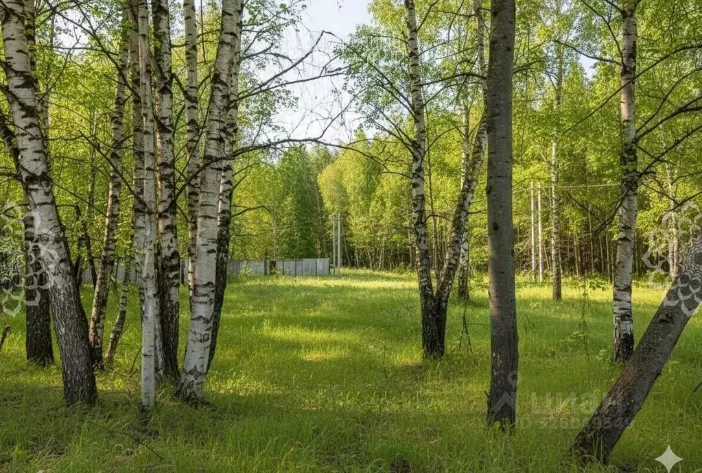 Участок в Московская область, Одинцовский городской округ, д. ... - Фото 2