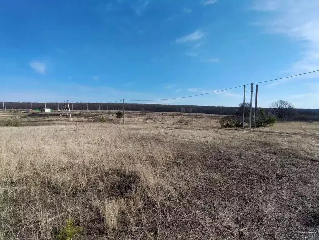 Участок в Белгородская область, Старый Оскол Новая Ямская сл.,  (9.0 ... - Фото 1