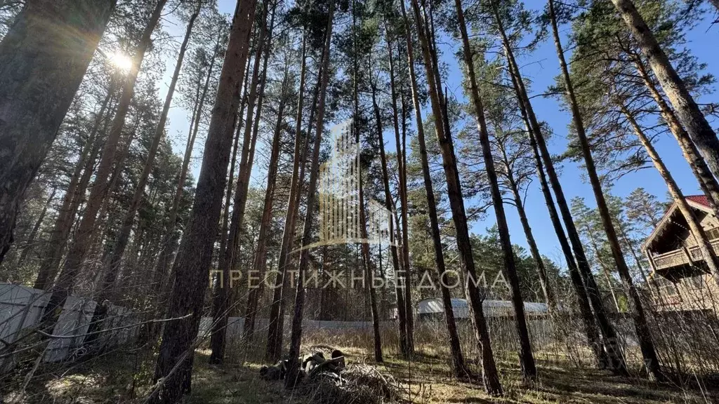 Участок в Новосибирская область, Новосибирск Заповедная ул. (12.0 ... - Фото 1