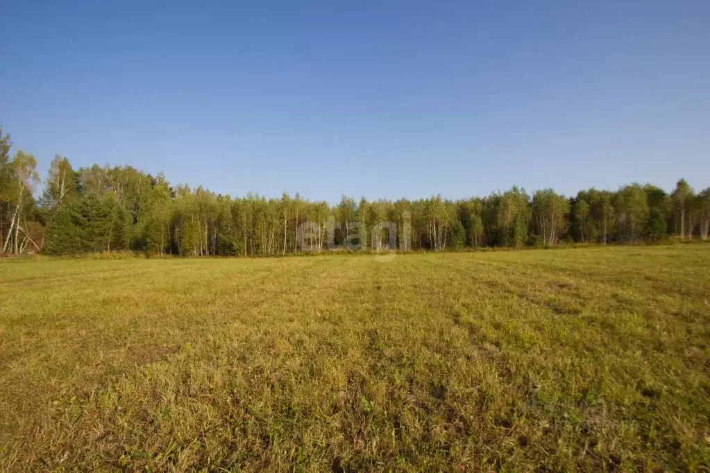 Участок в Калужская область, Перемышльский район, Большие Козлы с/пос, ... - Фото 1