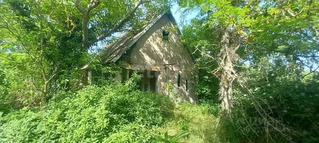 Участок в Краснодарский край, Крымский район, Кеслеровское с/пос, пос. ... - Фото 1