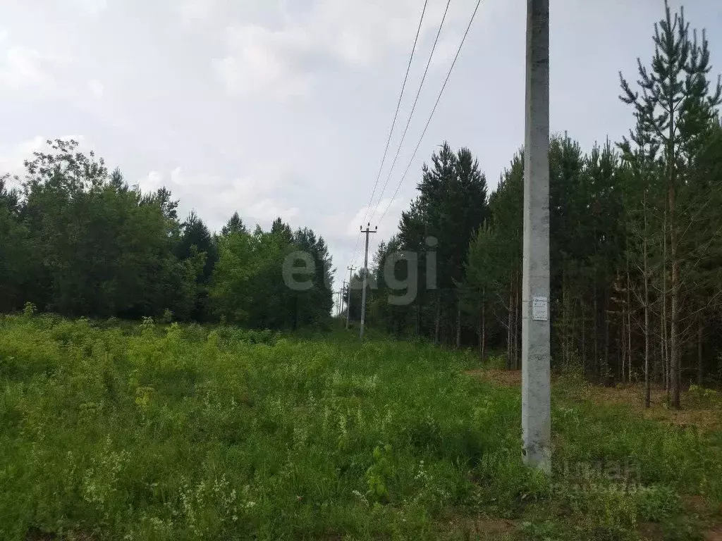 Участок в Свердловская область, Талица ул. Луначарского (11.0 сот.) - Фото 1