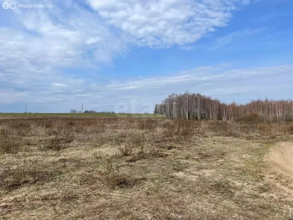 Участок в Владимирская область, Ковровский муниципальный округ, ... - Фото 1