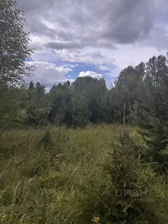 Участок в Ленинградская область, Выборг ул. Камышовая, 10 (12.0 сот.) - Фото 1