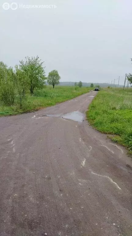 Участок в Ленинградская область, Гатчинский муниципальный округ, ... - Фото 0
