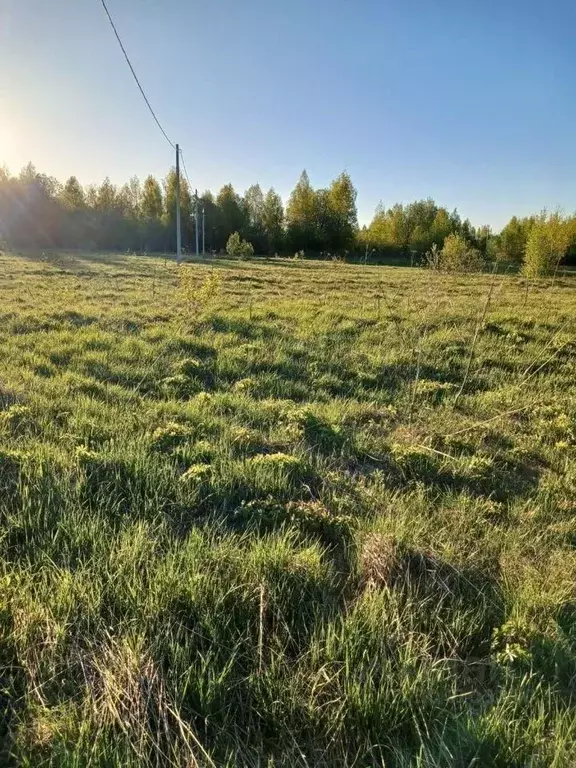 Участок в Тверская область, Кашинский городской округ, д. Келарево  ... - Фото 0