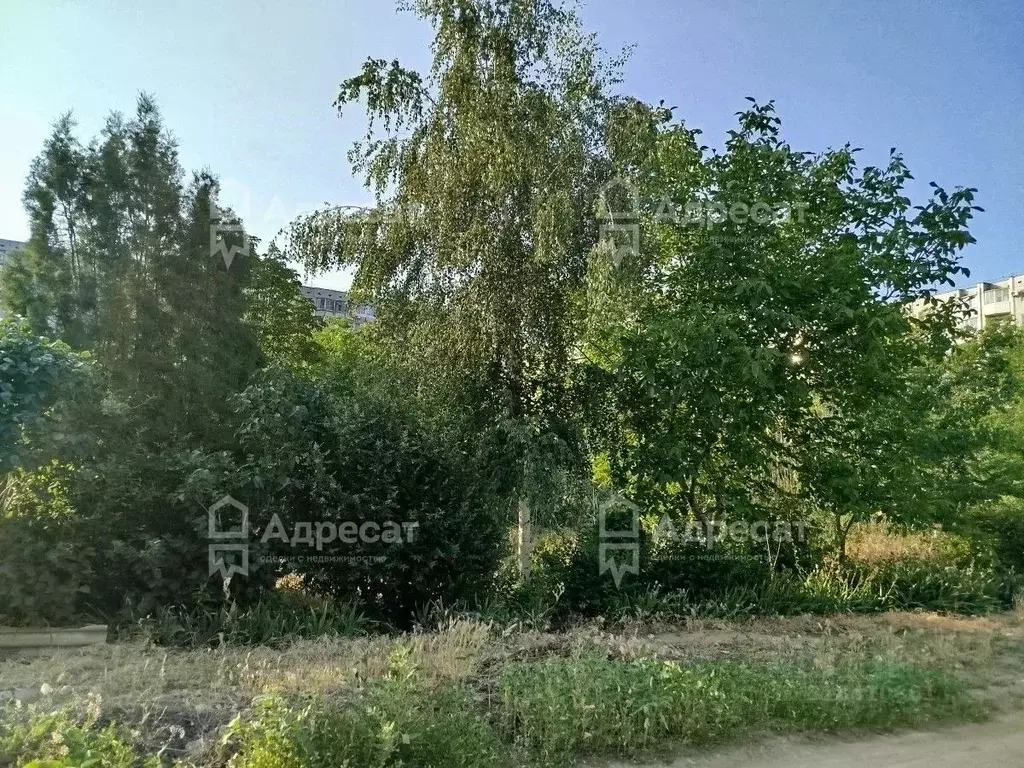 Участок в Волгоградская область, Волгоград Староладожская ул. (5.0 ... - Фото 2