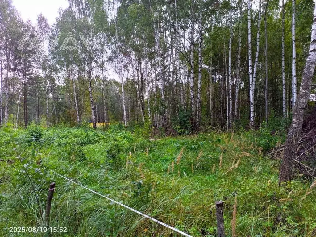 Участок в Нижегородская область, Нижний Новгород пос. Березовая Пойма, ... - Фото 1