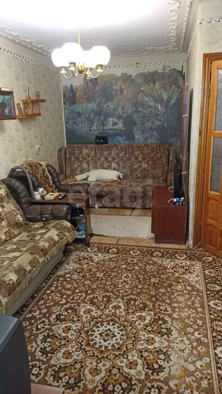 1-к кв. Ростовская область, Таганрог ул. Щаденко, 85 (31.1 м) - Фото 2