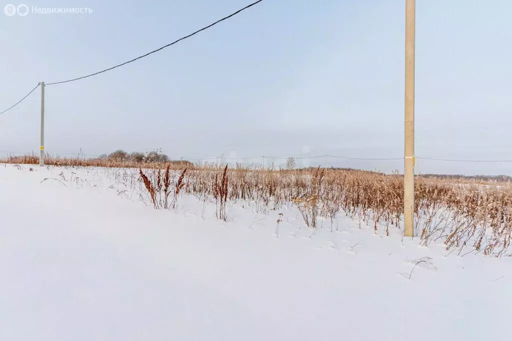 Участок в Тюменский муниципальный округ, Червишевское муниципальное ... - Фото 1