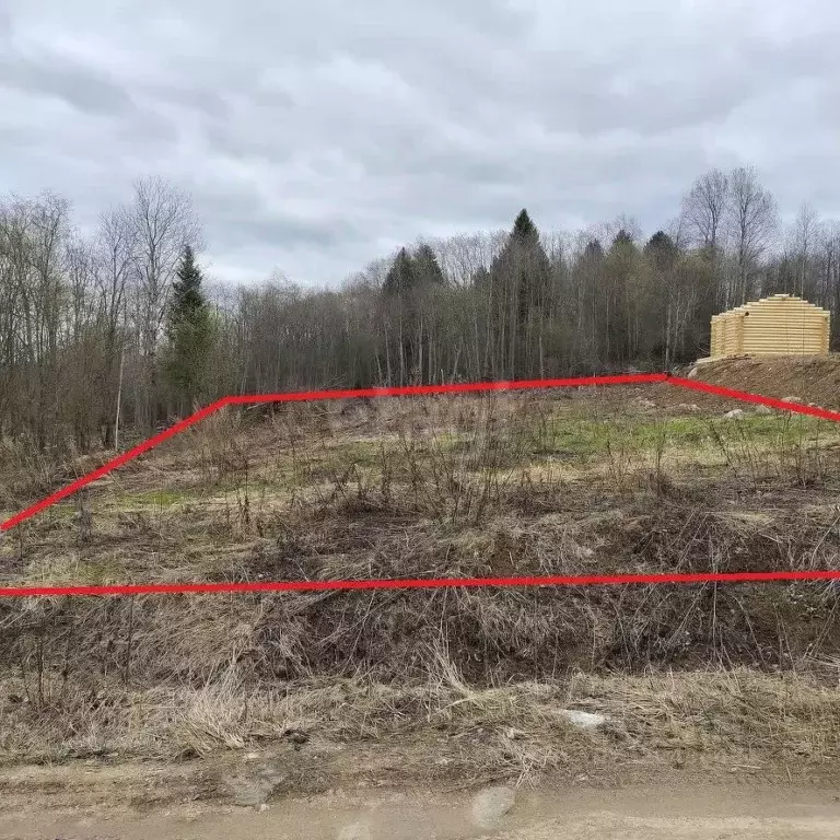 Участок в Вологодская область, д. Стризнево (Сосновский сельсовет)  ... - Фото 1