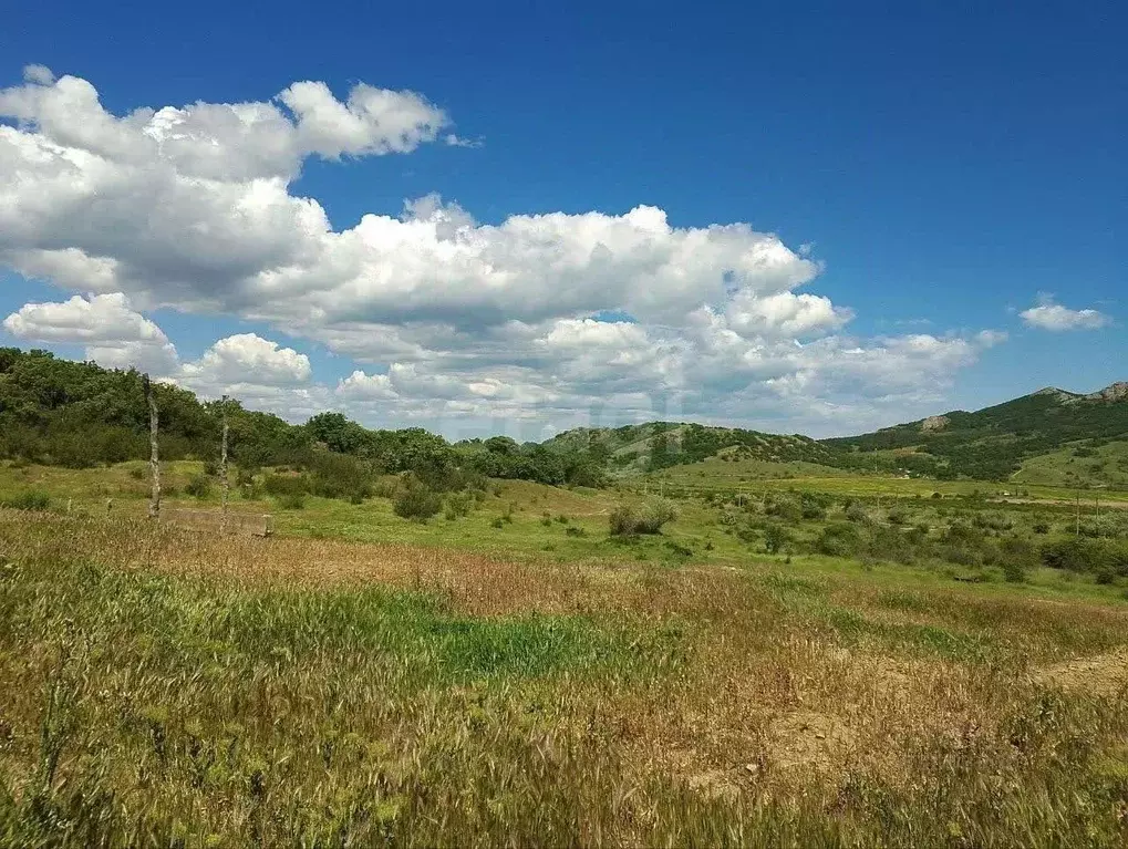 Участок в Крым, Феодосия муниципальный округ, Щебетовка пгт ул. ... - Фото 1