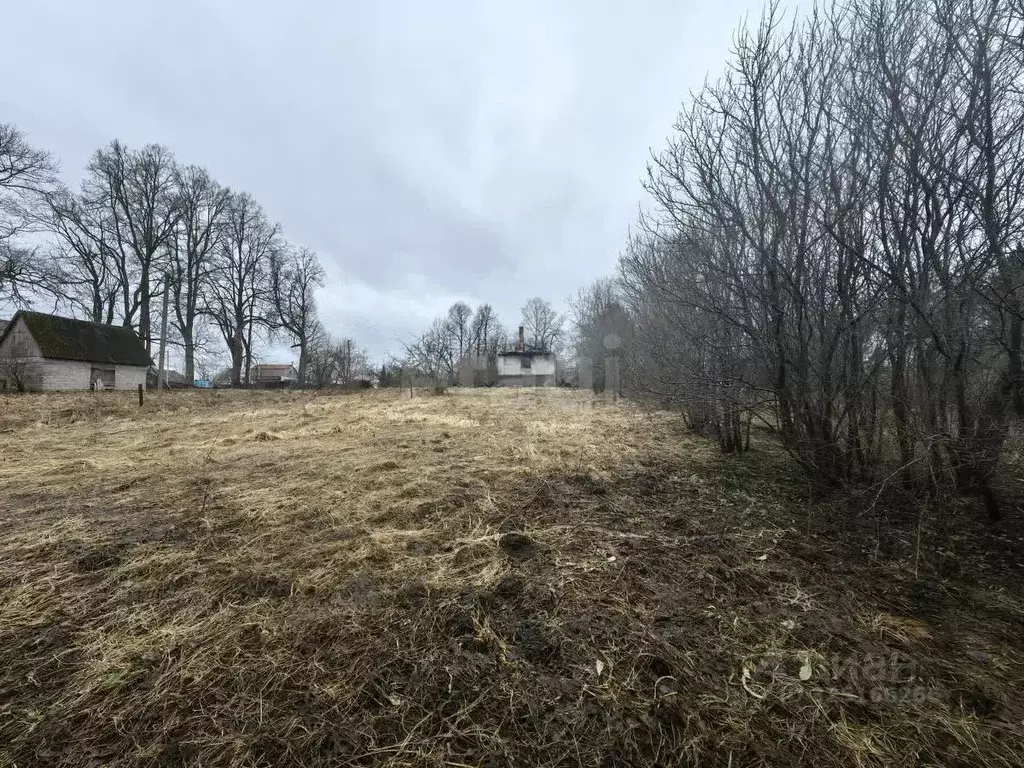 Участок в Смоленская область, Смоленский муниципальный округ, д. ... - Фото 2