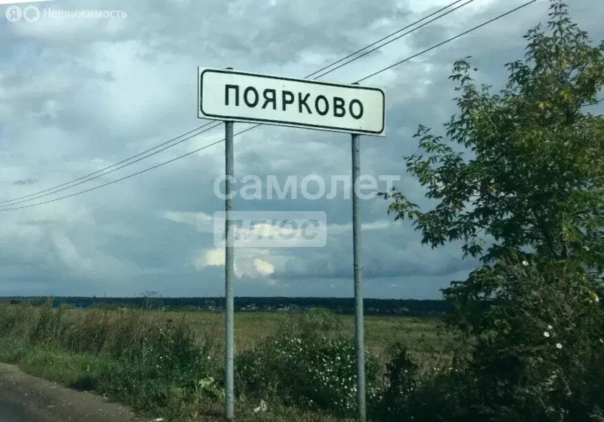 Участок в Рязанская область, Михайловский муниципальный округ, деревня ... - Фото 1