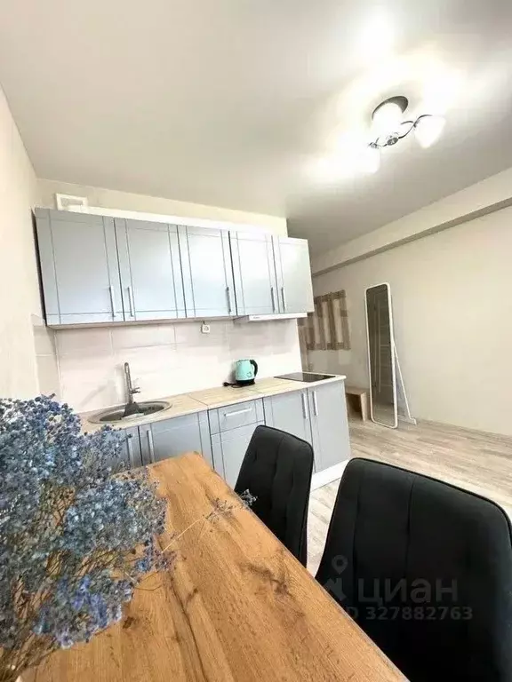 Студия Кировская область, Киров ул. Современная, 2 (27.6 м) - Фото 2