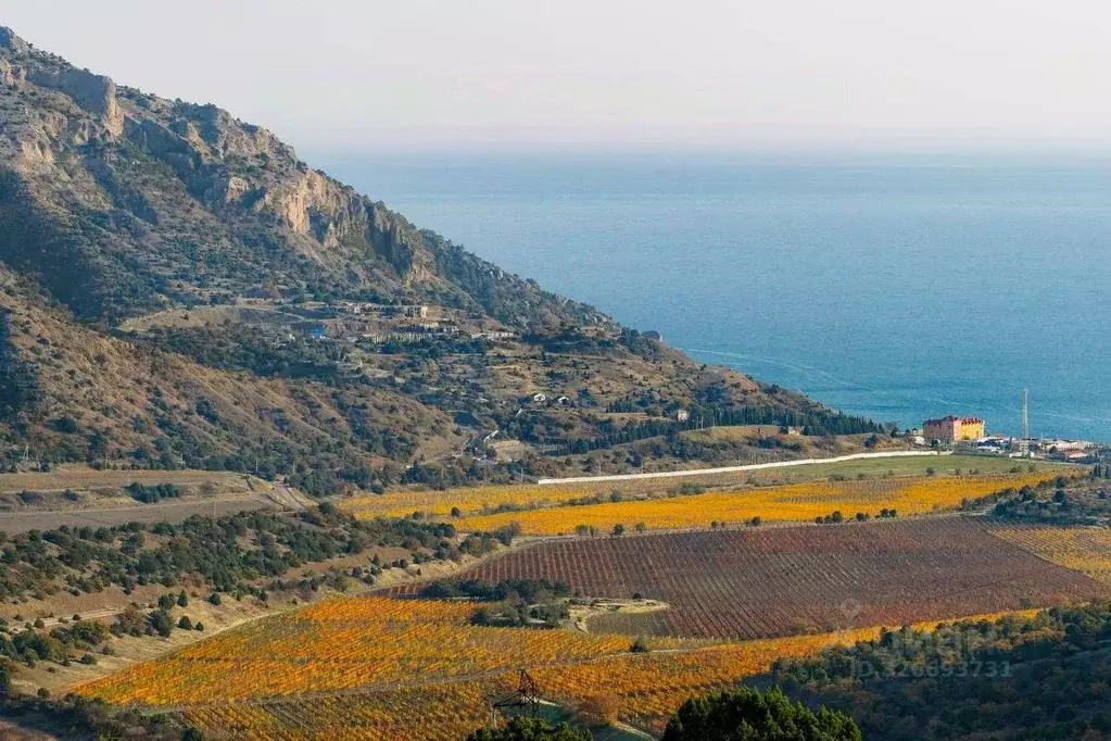 Участок в Крым, Судак муниципальный округ, с. Веселое ул. Новая (5.5 ... - Фото 1