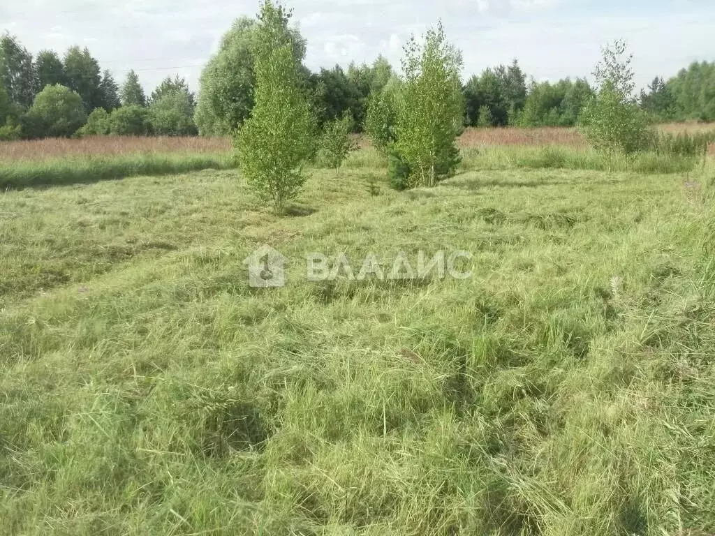 Участок в Владимирская область, Судогодский район, Лавровское ... - Фото 1