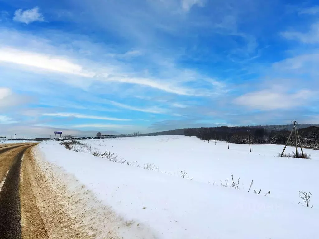 Участок в Московская область, Домодедово городской округ, пос. ... - Фото 1