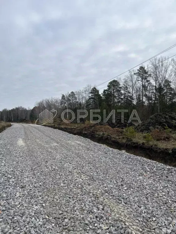 Участок в Тюменская область, Тюменский муниципальный округ, д. Ушакова ... - Фото 1