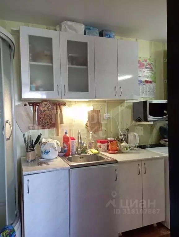 1-к кв. Нижегородская область, Богородск ул. Ленина, 149 (31.1 м) - Фото 0