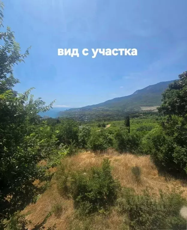 Участок в Крым, Ялта муниципальный округ, Гурзуф пгт ул. Ялтинская, 22 ... - Фото 2