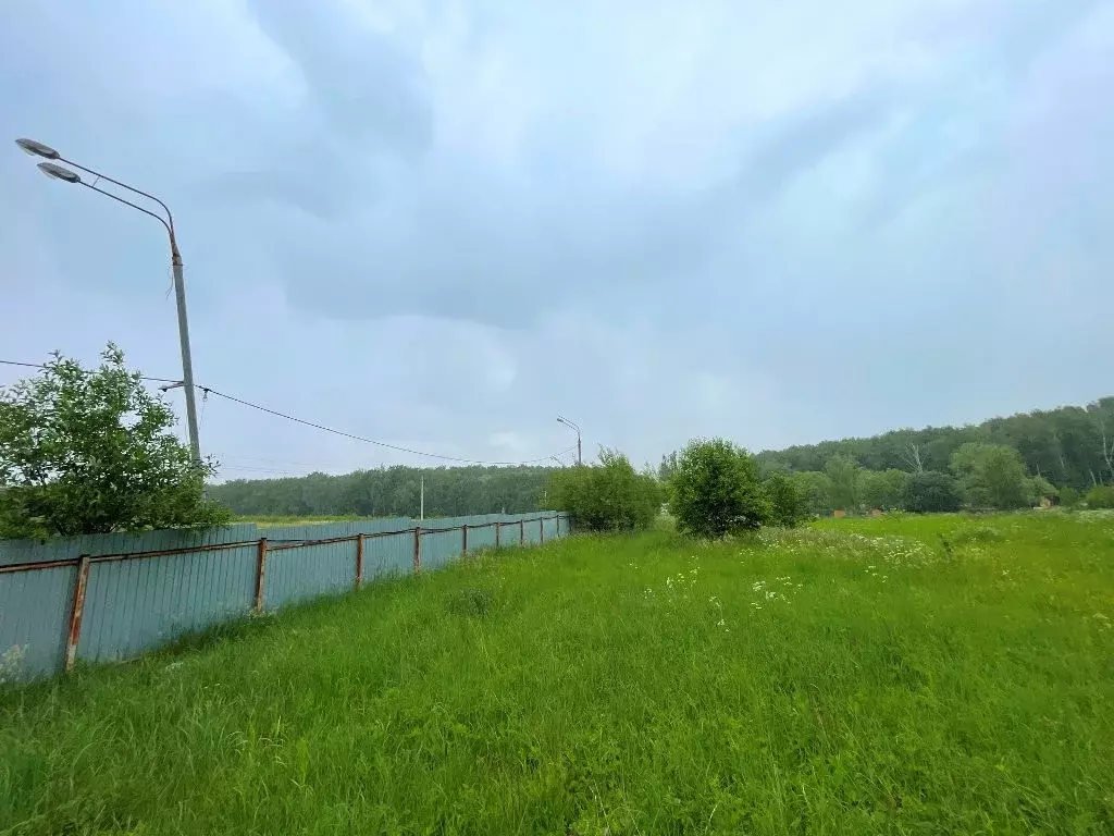 Продается участок в д. Горки - Фото 1