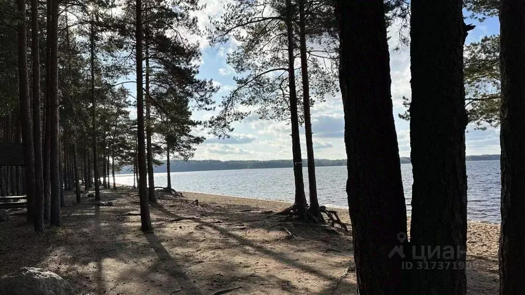 Участок, 21.8 сот., сельхоз (снт или днп) - Фото 0