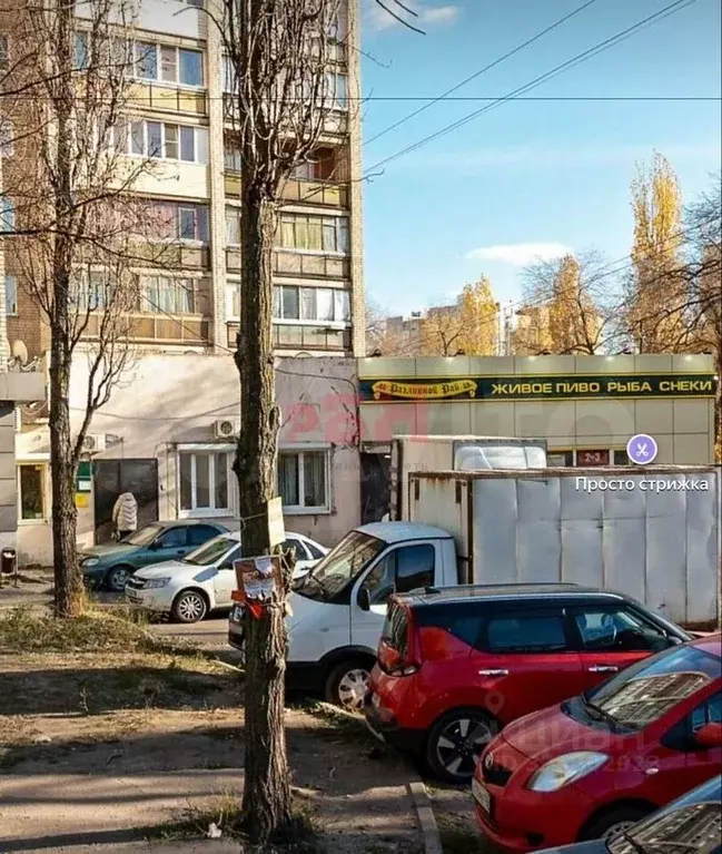 Торговая площадь в Воронежская область, Воронеж ул. Героев Сибиряков, ... - Фото 1