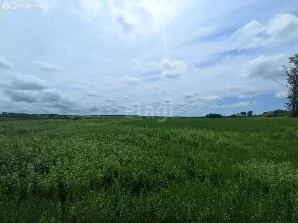 Участок в Благовещенск, садовое товарищество Учитель (6.2 м) - Фото 0