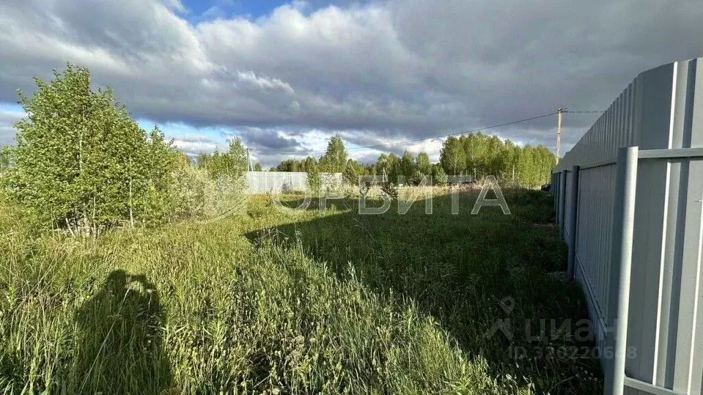 Участок в Тюменская область, Нижнетавдинский район, Моторостроитель ... - Фото 2