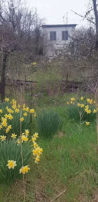 Участок в Феодосия, улица Панова (5.4 м) - Фото 2