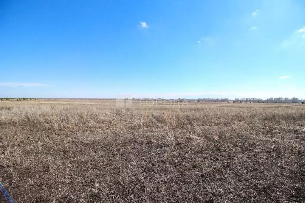 Участок в Алтайский край, Барнаул городской округ, пос. Центральный, ... - Фото 1