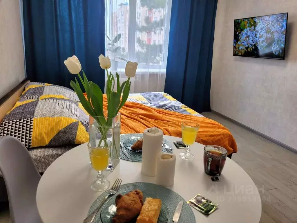 Студия Ростовская область, Азов Азовский район, Севастопольская ул., ... - Фото 1