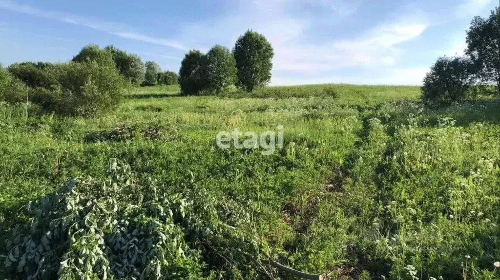 участок в ленинградская область, всеволожский район, куйвозовское . - Фото 1