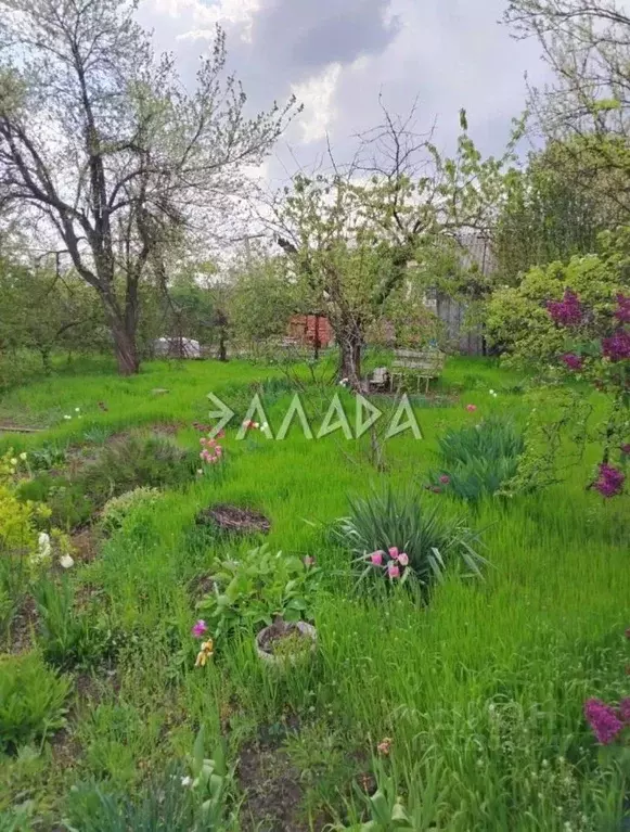 Участок в Ростовская область, Ростов-на-Дону Импульс садовое ... - Фото 1