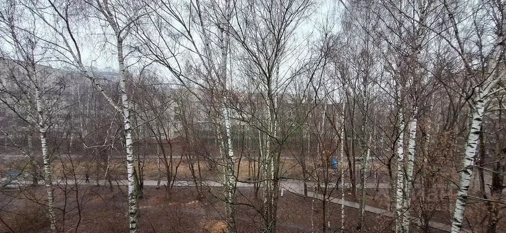 Квартира, 1 комната, 31 м - Фото 2