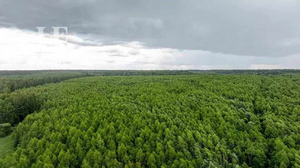 Помещение свободного назначения в Московская область, Можайский ... - Фото 1