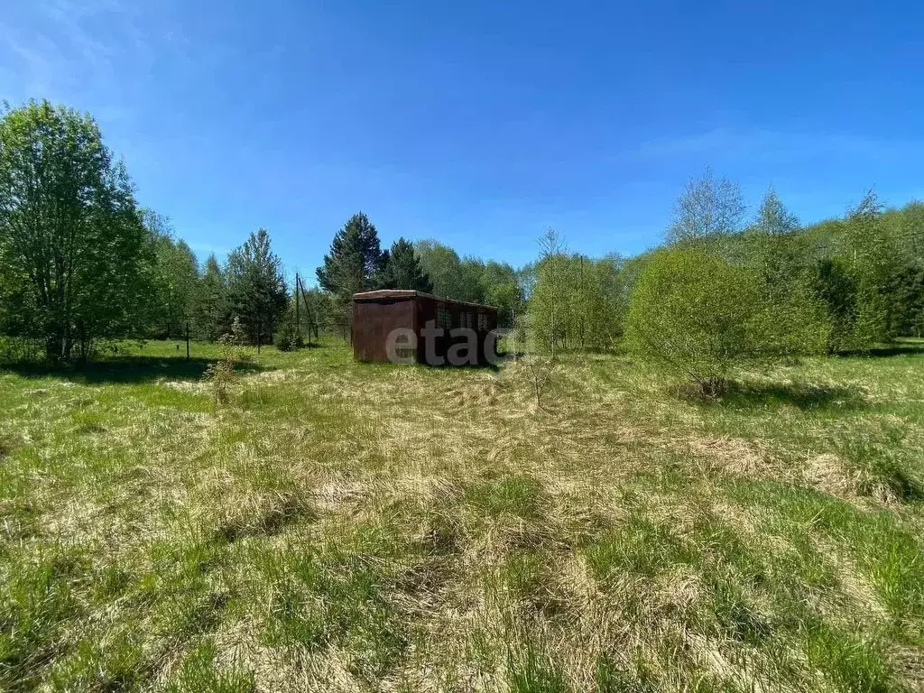 Участок в Ленинградская область, Волховский район, Колчановское с/пос, ... - Фото 2