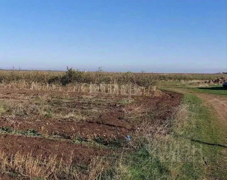 Участок в Крым, Кировский район, Журавское с/пос, с. Новопокровка ул. ... - Фото 1