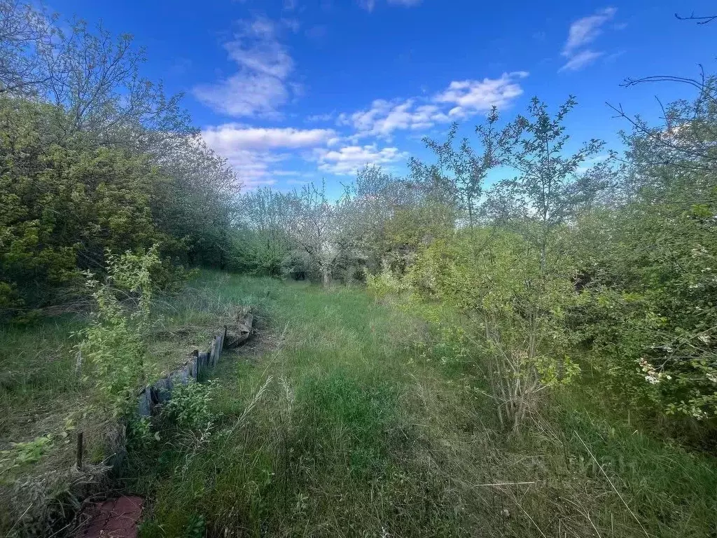 Участок в Белгородская область, Белгородский район, Беломестненское ... - Фото 0