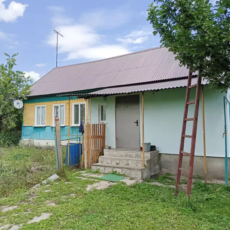 Дом в Рязанская область, Скопинский муниципальный округ, Павелец рп ... - Фото 1