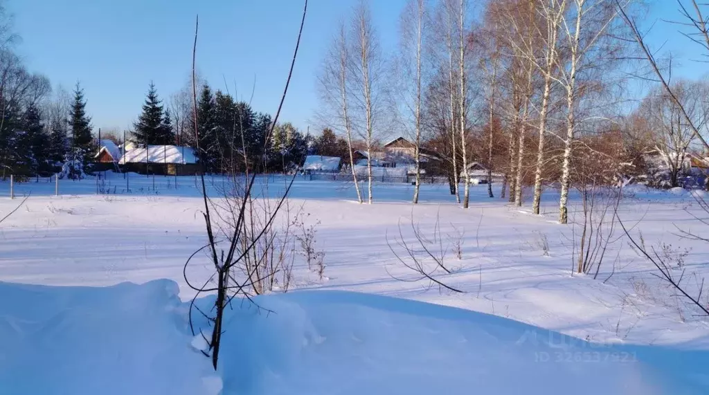 Участок в Московская область, Орехово-Зуевский городской округ, д. ... - Фото 1