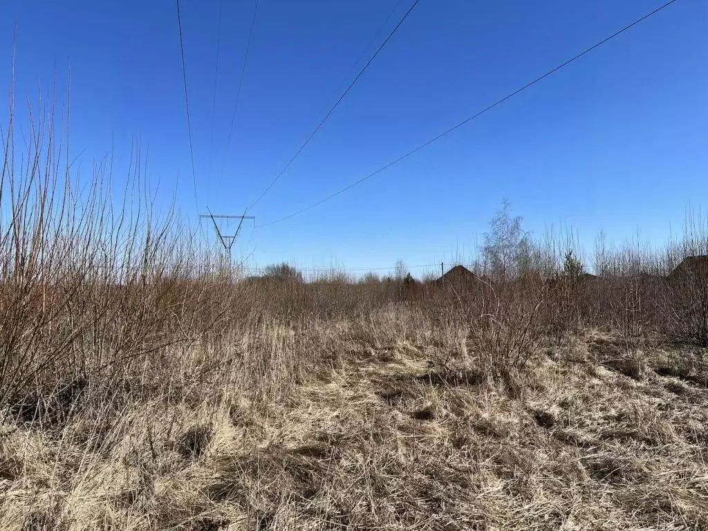Участок в Владимирская область, Суздальский район, Новоалександровское ... - Фото 1